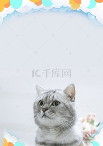 猫狗领养宠物背景图片_宠物插画海报背景