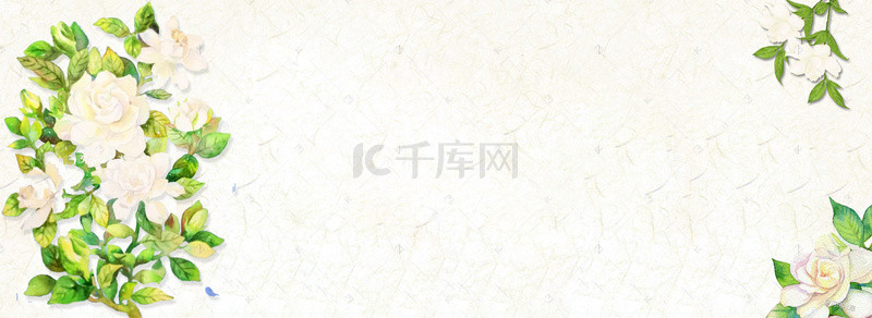 白描栀子花背景图片_中国风手绘清新栀子花六月花卉背景