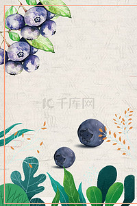 水果花卉背景图片_蓝莓水果背景图片