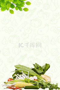 白色中国风海报背景图片_农家乐芥菜白色中国风蔬菜促销海报
