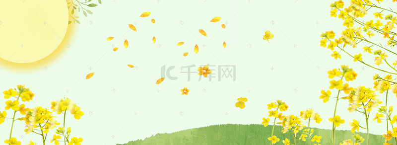 草地banner背景图片_清新油菜花春季banner