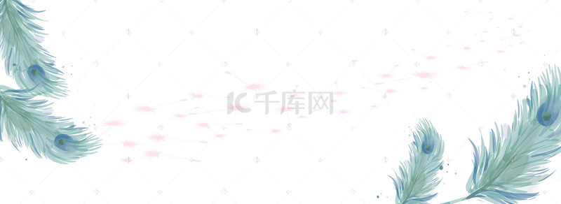 羽毛服装海报背景图片_绿色简约手绘羽毛女装海报banner