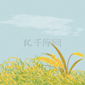 小满背景图片_芒种清新插画背景