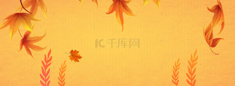 休闲橙色背景图片_橙色创意植物叶子环境