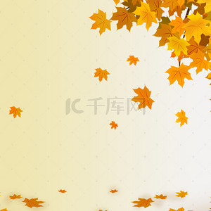 秋季预售背景图片_手绘枫叶背景促销主图