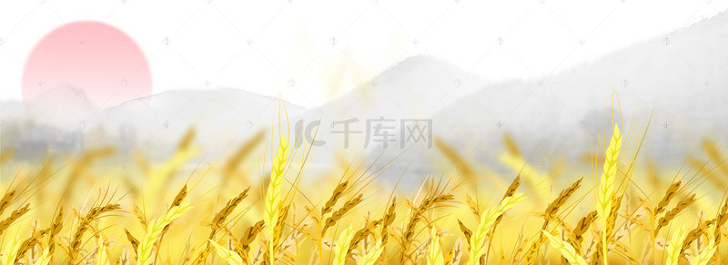 黄色小麦背景图片_黄色小麦水墨海报背景