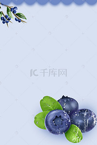 食品树叶背景图片_进口食品水果蓝莓背景