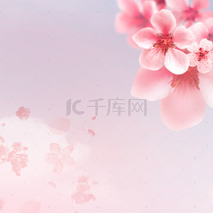 淘宝美妆背景图片_粉色玫瑰花朵母亲节PSD分层主图背景素材