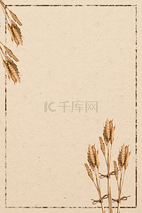 小麦海报背景素材背景图片_五谷杂粮中国风海报背景