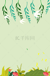 绿叶子植物背景图片_绿色的春天植物背景