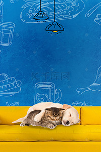 夫妇睡觉背景图片_蓝色手绘墙面狗狗睡觉广告背景