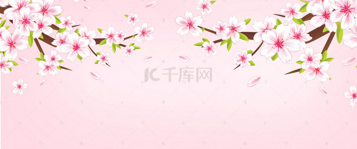 樱花朵背景图片_唯美浪漫中国风樱花