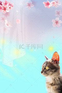 远方海报背景图片_5月遥望远方的猫