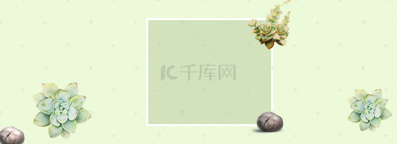 淘宝多肉植物盆栽海报背景banner