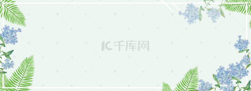 手绘仙人掌背景图片_手绘清新多肉绿植促销banner