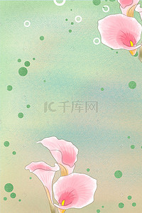 清新 花花背景图片