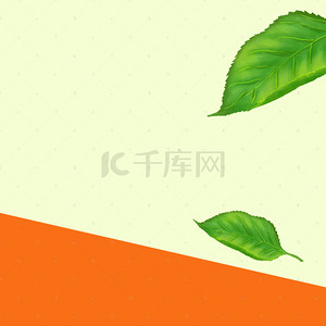 自然淘宝主图背景图片_绿色叶子清新水果PSD分层主图