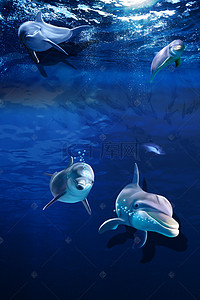 动物宣传背景图片_海洋世界海报背景