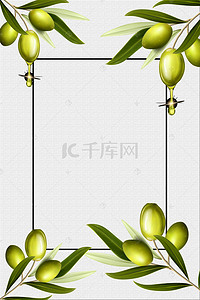 手绘食物边框背景图片_矢量美食美容橄榄背景