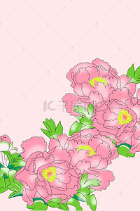 玫瑰分层背景图片_玫瑰花瓣分层H5背景
