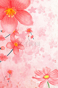 手机背景小清新背景图片_春天粉色玫瑰花瓣手机端H5背景素材