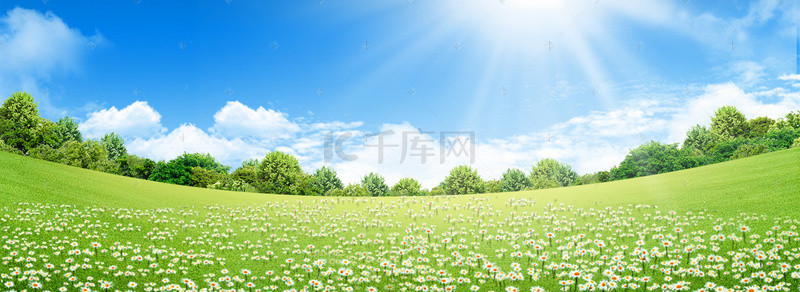 树林草地背景背景图片_小清新绿色草坪小花朵背景