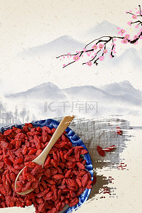 中国风水墨枸杞中草药海报背景