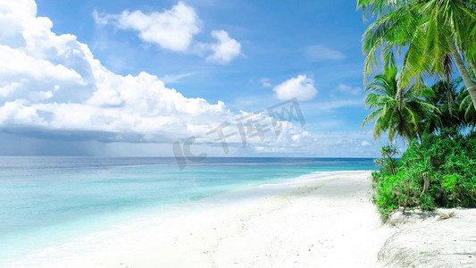 海边摄影照片_旅游景点海南海边椰子树高清