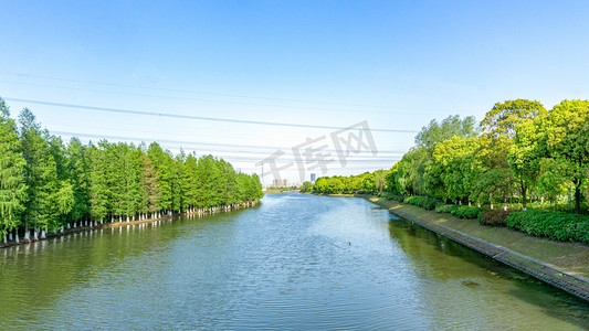 白天树林摄影照片_生态环境环保白天湿地河流植树造林摄影图配图