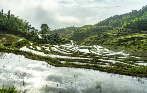 大山摄影照片_雾云山的春天白天梯田雾云山梯田全景摄影图配图