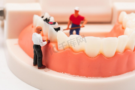 人物医疗模型摄影照片_口腔健康白天龋齿牙齿室内医疗摄影图配图