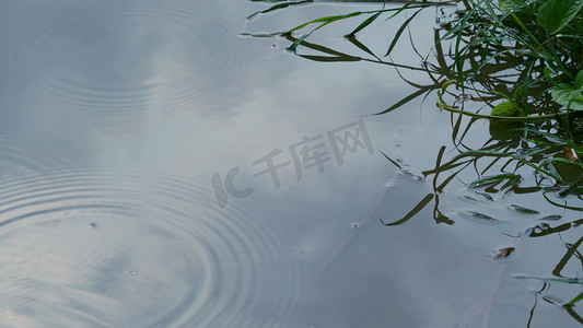 雨天下雨雨滴滴落实拍