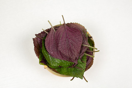 扇子产品实物摄影照片_蔬菜夏季紫苏叶白背景新鲜摄影图配图
