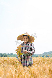 人物白天农民伯伯麦田拿着麦子摄影图配图