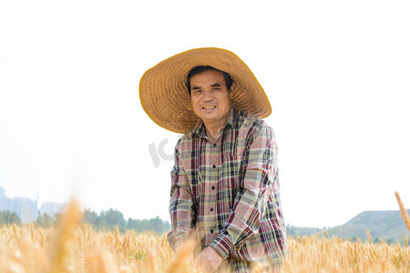 芒种白日戴草帽的农民麦田收麦摄影图配图