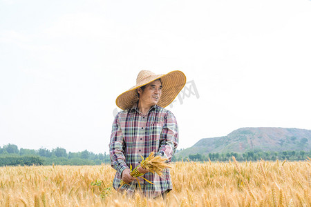 人物白天农民伯伯麦田拿麦子摄影图配图