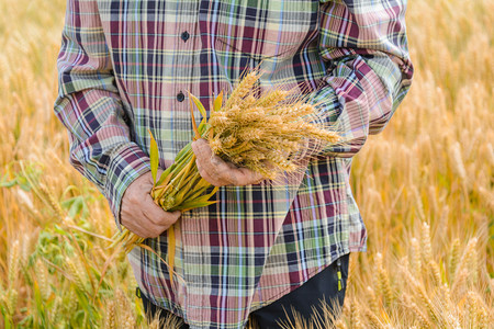 人物白天芒种农民伯伯小麦田拿着麦子摄影图配图