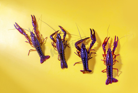 静物美食龙虾基围虾新鲜虾摄影图配图