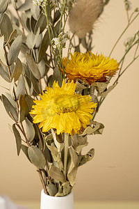夏季植物装饰摄影照片_文艺风花瓶植物向日葵装饰画摄影图配图