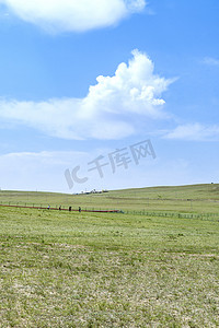 昭和摄影照片_夏季草原上午草原夏季素材摄影图配图