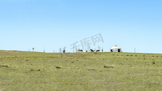 草原蒙古包摄影照片_昭和草原上午植被夏季素材摄影图配图