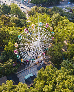 大树丛摄影照片_城市中午公园里的摩天轮景区无人机摄影图配图