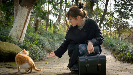 人像傍晚女孩公园喂猫摄影图配图