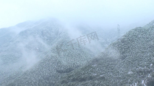 竹海摄影照片_大雪过后的山间竹海