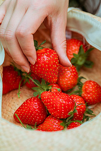 文艺摄影照片_摘草莓白天草莓特写草莓园手拿草莓摄影图配图