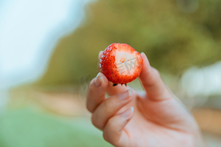 水果白天草莓户外手拿草莓摄影图配图
