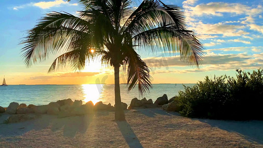 天空海滩摄影照片_热带海边椰子树夕阳