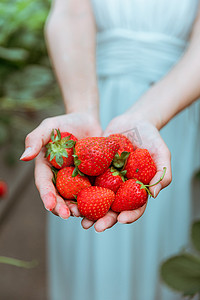 文艺摄影照片_草莓白天室外草莓园手捧草莓摄影图配图
