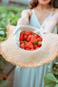 草莓采摘白天捧草莓的美女草莓采摘园手捧草莓摄影图配图