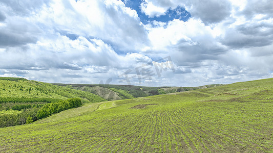 高山白云摄影照片_高山草原牧草上午耕地夏季素材摄影图配图